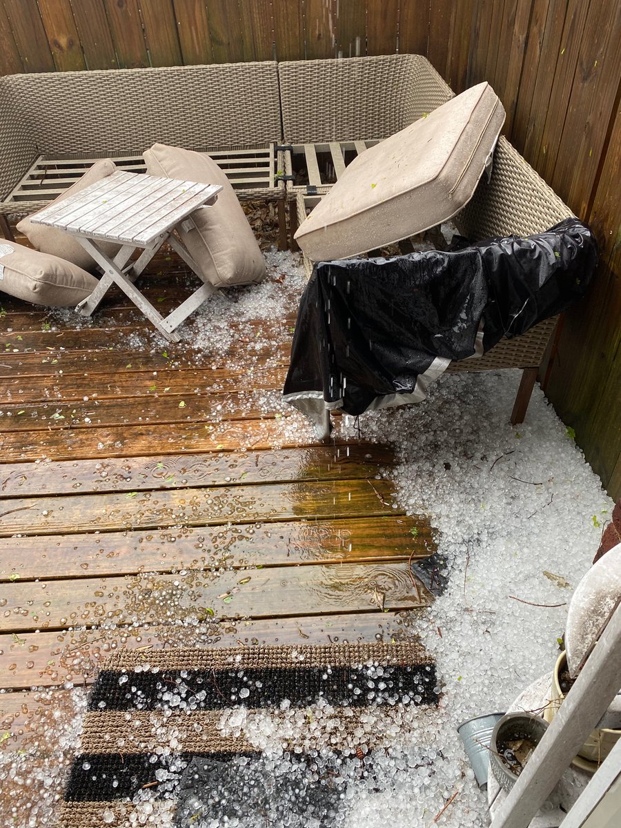 Renee Cutaia Olson tweet media