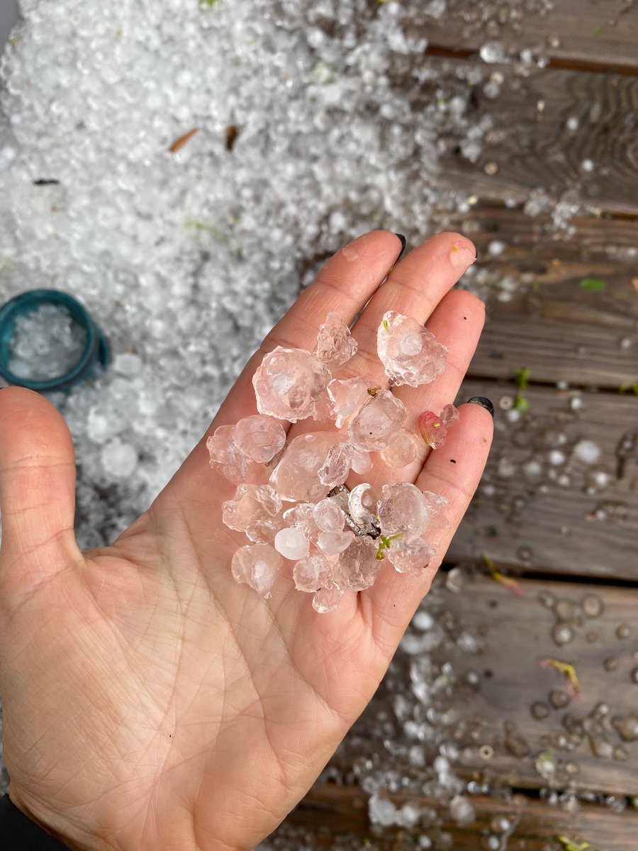 Renee Cutaia Olson tweet media