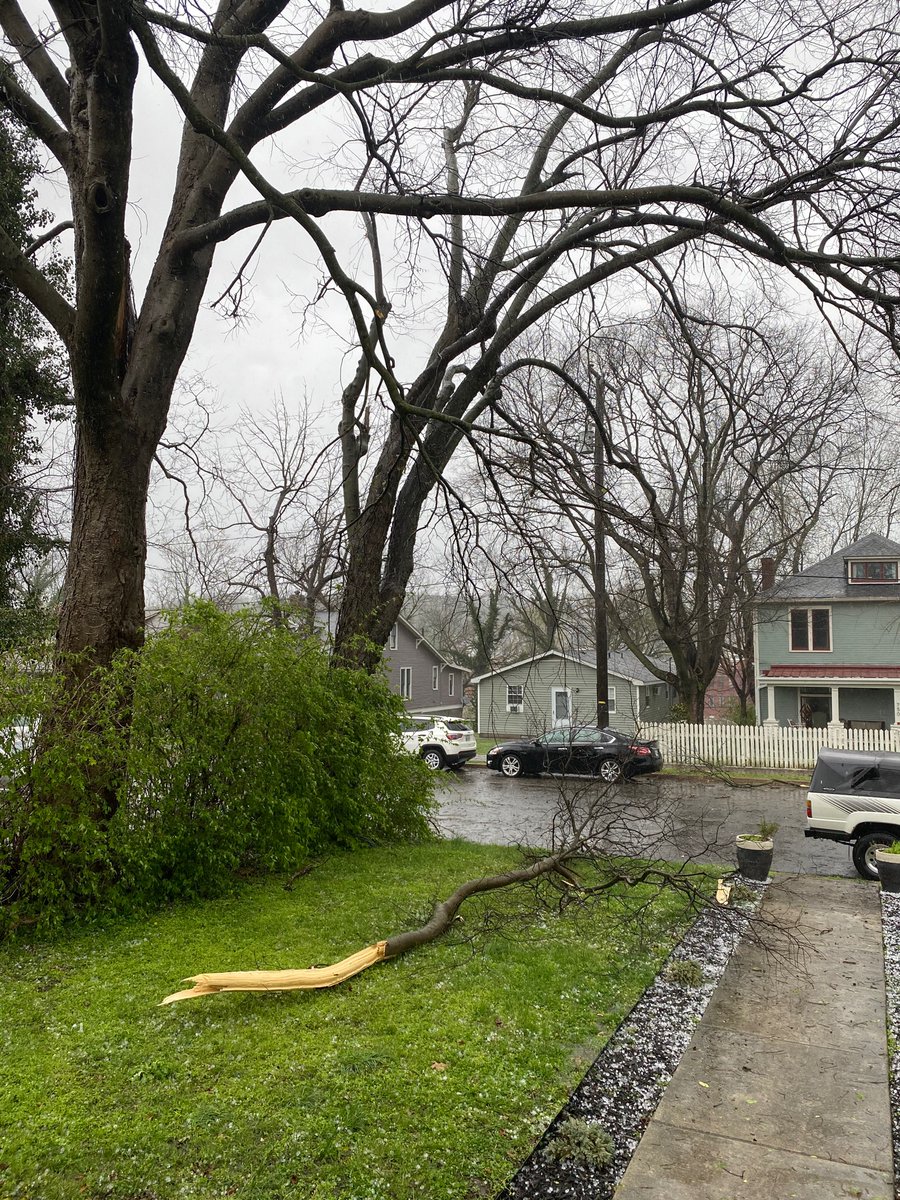 Renee Cutaia Olson tweet media