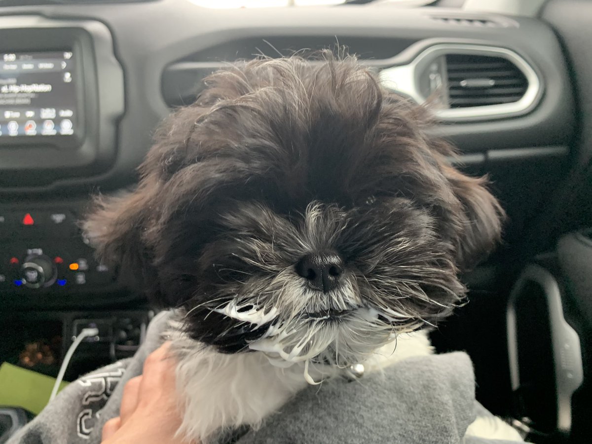 itsluccigucci's tweet photo. a short and happy story https://t.co/KJOahfRqgT