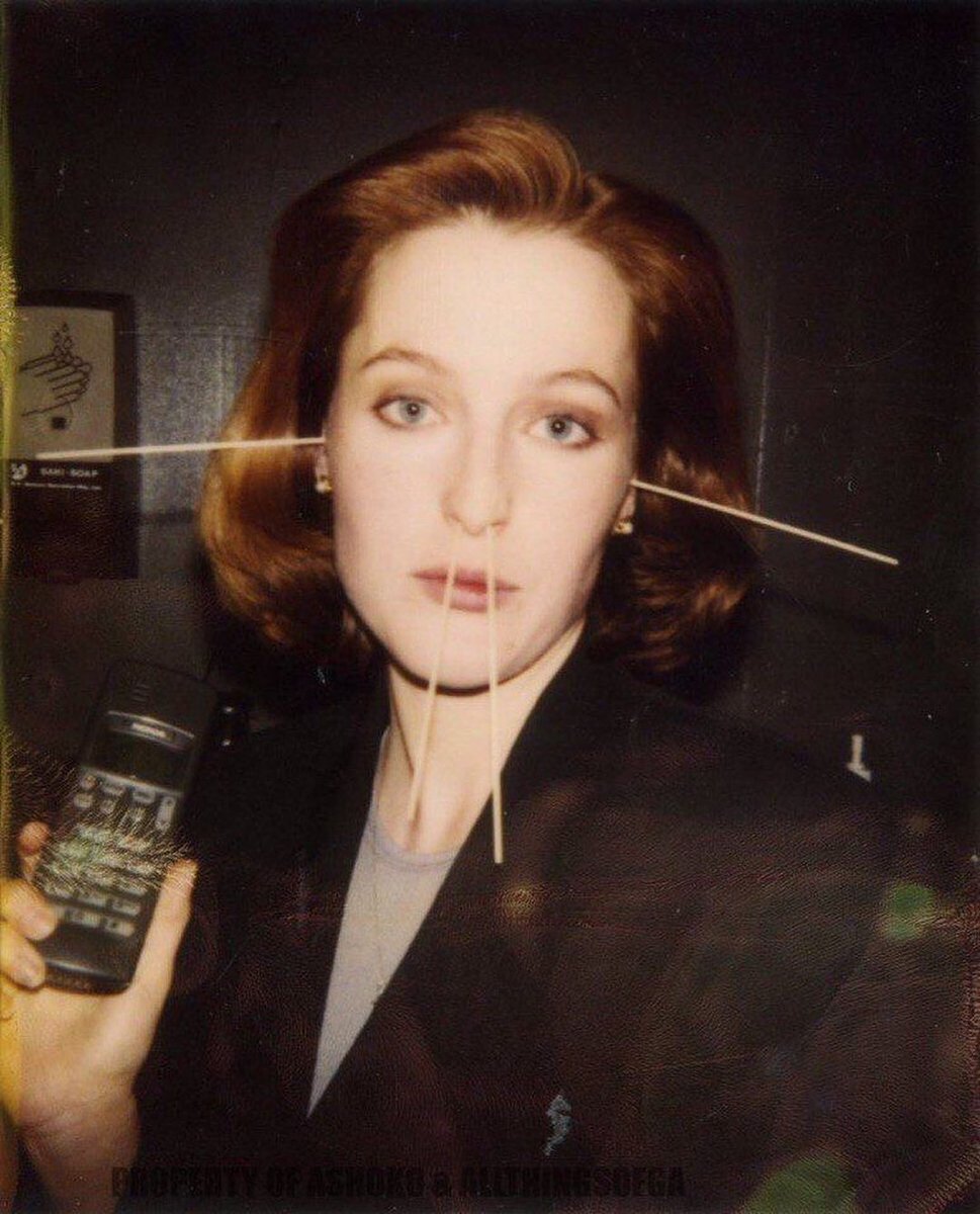 RaminNasibov's tweet photo. Gillian Anderson https://t.co/dqzj9DOXbj