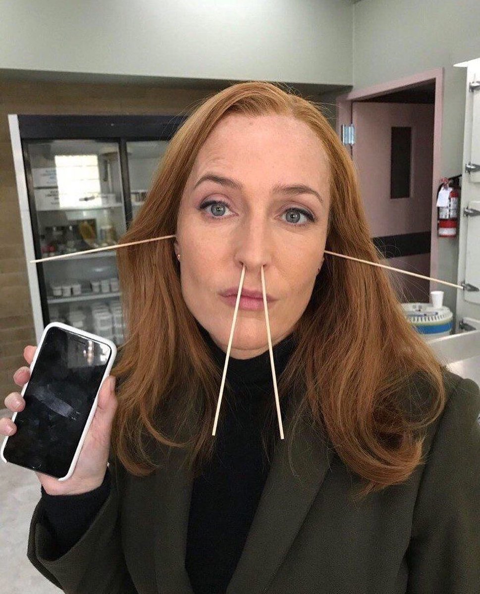 RaminNasibov's tweet photo. Gillian Anderson https://t.co/dqzj9DOXbj