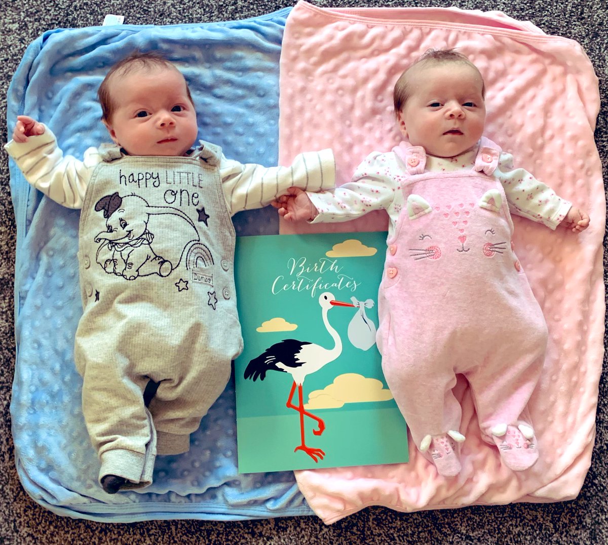Ally_110293's tweet photo. We finally got to officially register our beautiful little puds today 🥰👨‍👩‍👧‍👦 https://t.co/qrnbUnPNkl