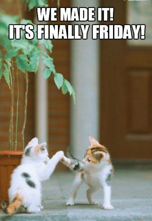 LoVe_MeOw_24's tweet photo. Enjoy what you already have and work hard for what you want the most. To all #SolidDDS and #ProDuterte Good morning 🌞😃☀️ #DutertePaRin 👊👊👊💪 https://t.co/Zen5DRu6BU