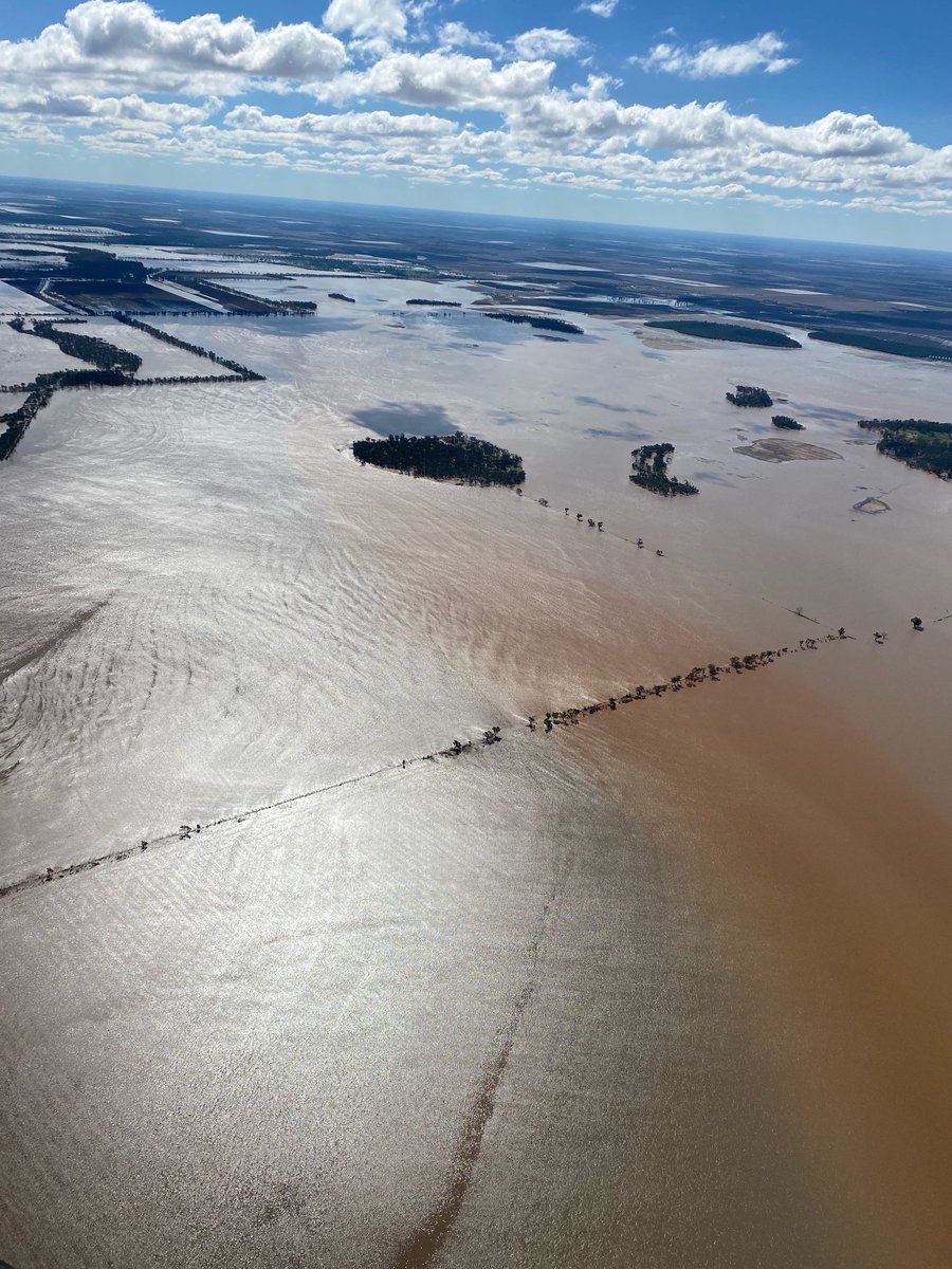 GoldstarComm's tweet image. Floodwater at Garah yesterday #flood