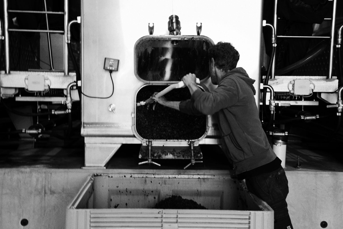 ZonzoEstate's tweet photo. There is plenty happening in the winery at the moment for #vintage21

#pinotnoir #winery #winemakers #yarravalley #wanderwithzonzo #winelover #zonzoestate #winery https://t.co/MJshVFIDGY