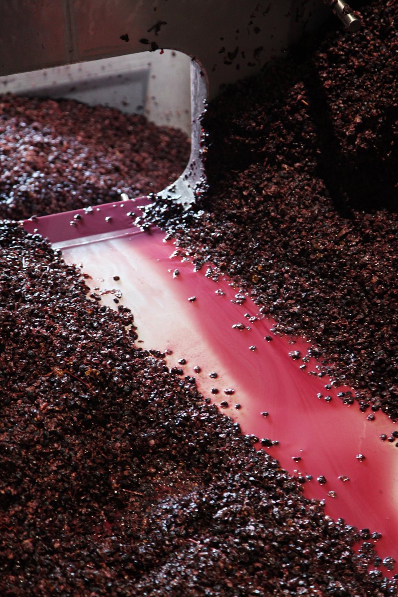 ZonzoEstate's tweet photo. There is plenty happening in the winery at the moment for #vintage21

#pinotnoir #winery #winemakers #yarravalley #wanderwithzonzo #winelover #zonzoestate #winery https://t.co/MJshVFIDGY