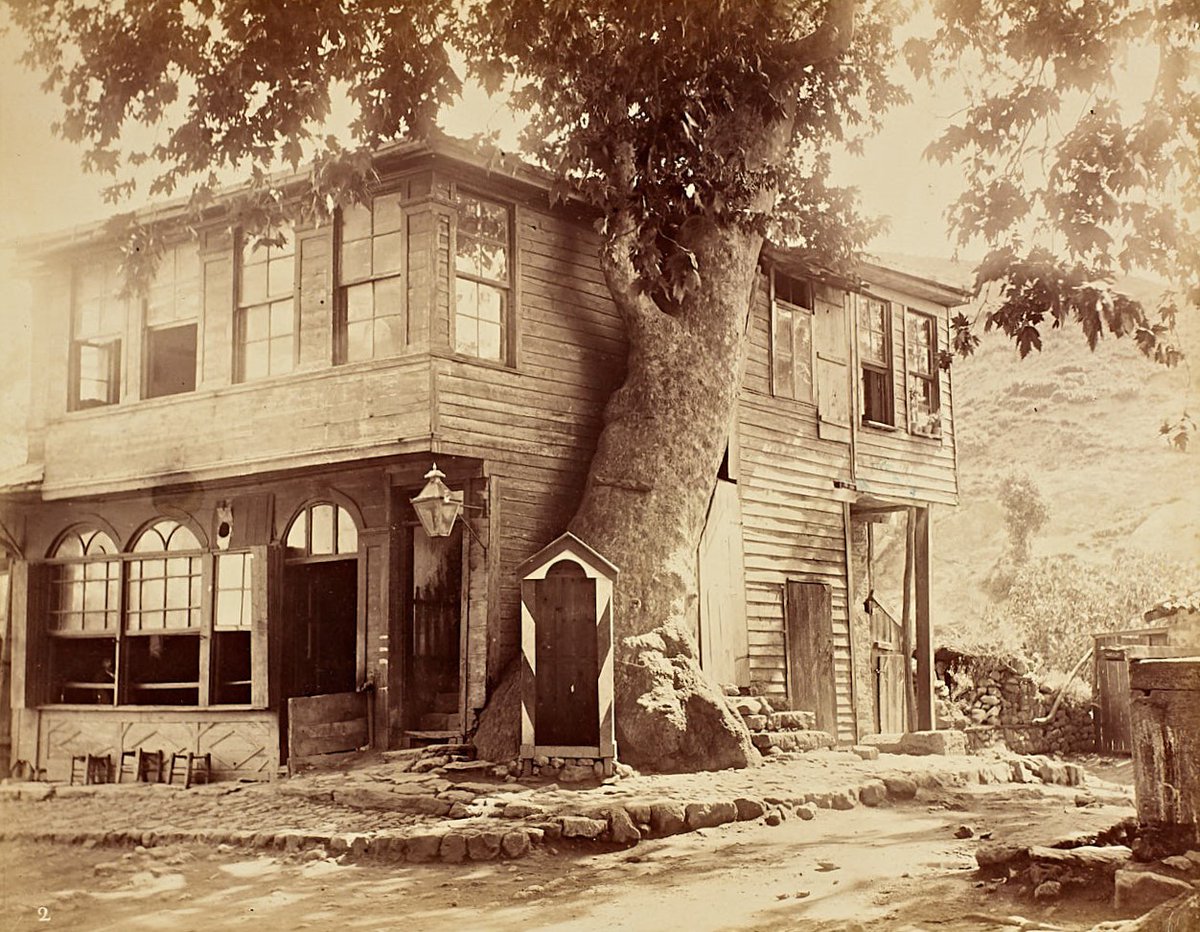 alisukrucoruk's tweet photo. 1880-90'larda Rumeli Kavağı Karakolu

Alt kat kahvehane, üst kat karakol, pencere önündeki saksılara bakılırsa arka taraf lojman olmalı.
 
Asırlık çınar yapıyı korumaya almış.

Doğa-Kültür uyumu. https://t.co/xWF5XZOsWq