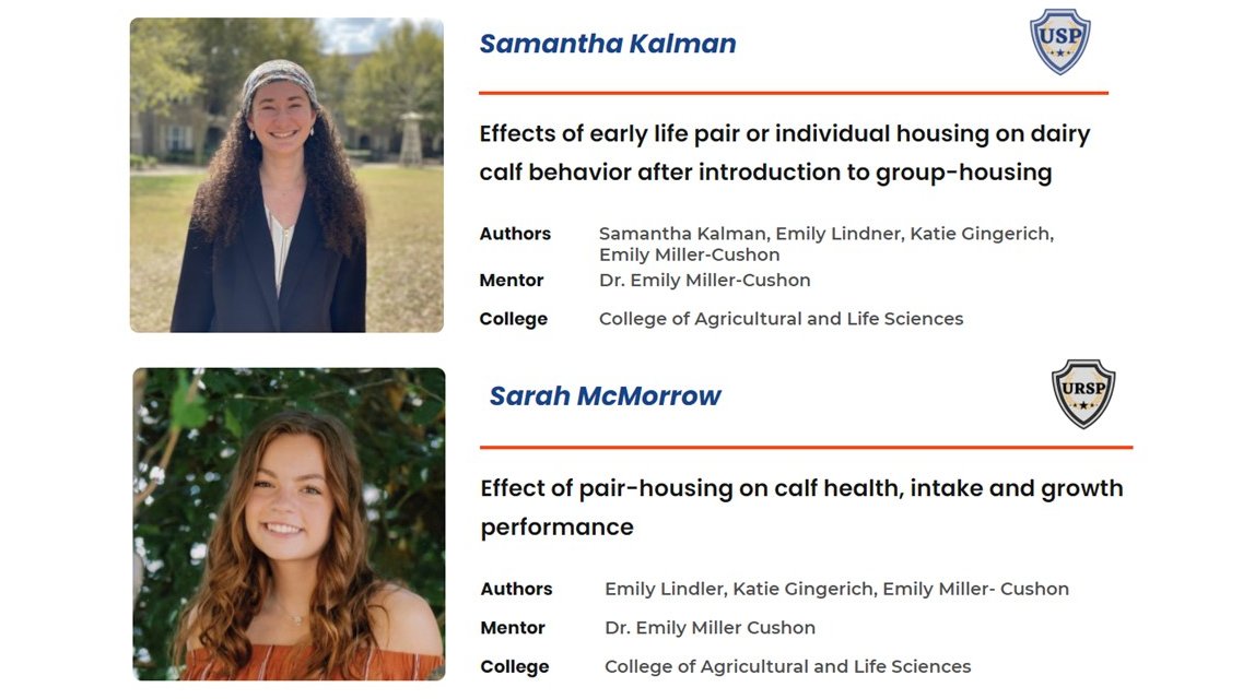 Emily Miller-Cushon tweet media