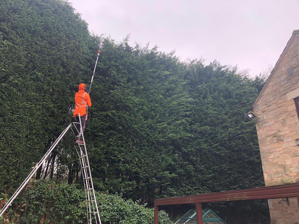 ArielTreeCare's tweet photo. It’s been a large conifer hedge type of day today. 
#arieltreecare #boltontreesurgeon #localtreesurgeon #hedgetrimming #treepruning #grasscutting #logsales #stumpremoval  #qualifiedtreesurgeon #treeservices #treecare #treepreservationorder #conservationarea https://t.co/kIJJLABQzX