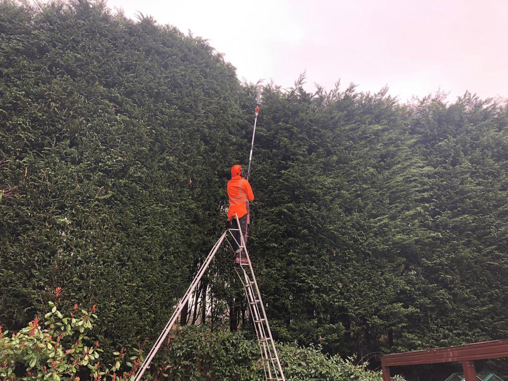 ArielTreeCare's tweet photo. It’s been a large conifer hedge type of day today. 
#arieltreecare #boltontreesurgeon #localtreesurgeon #hedgetrimming #treepruning #grasscutting #logsales #stumpremoval  #qualifiedtreesurgeon #treeservices #treecare #treepreservationorder #conservationarea https://t.co/kIJJLABQzX