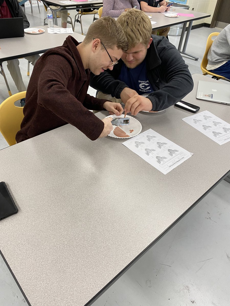 NesmithECCA's tweet photo. Only in Ag class... they have been learning how to read pig ear notches.  For practice the students notched their birthday, in bologna that they cut to look like pig ears. “Mrs.Arrington, this is the weirdest lab I’ve ever done!” https://t.co/MEIA46GHBb