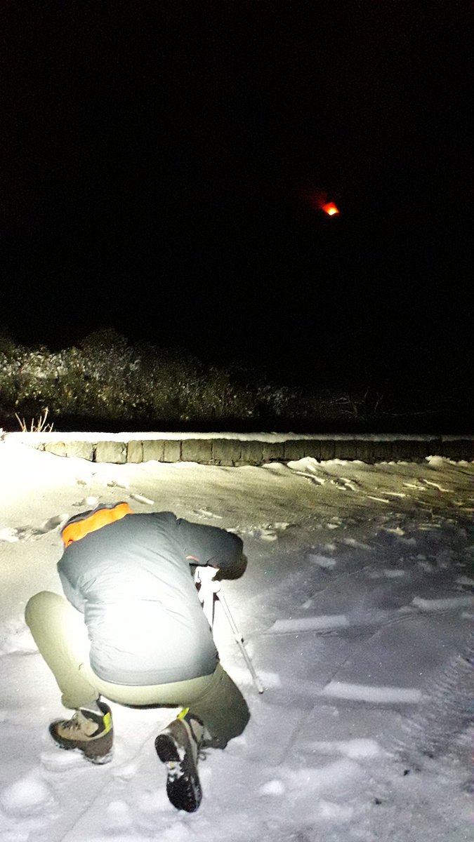 Piergiorgio tweet media