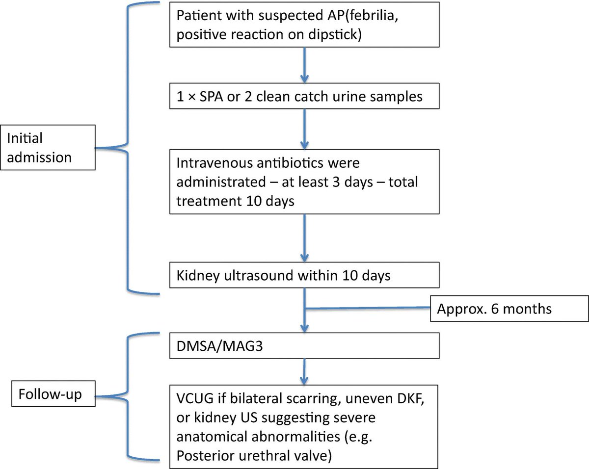 Acute pyelonephritis (AP) is a common bacterial infection in childhood. Guidelines are controversial. Read this Original Article on risk factors for kidney scarring &amp; vesicoureteral reflux (VUR) &amp; detecting children with kidney damage and/or serious VUR.

link.springer.com/article/10.100…