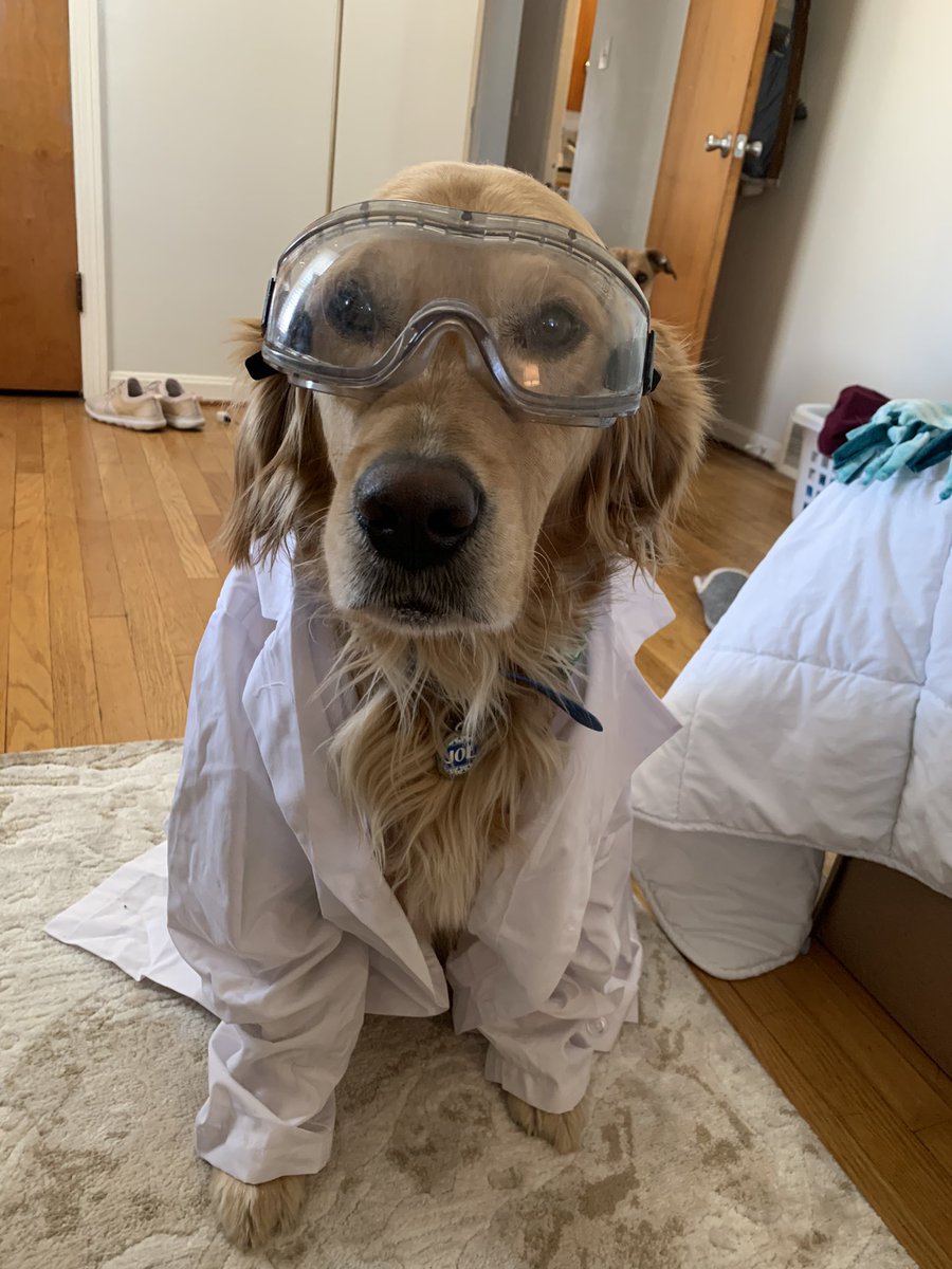 abren01's tweet photo. @bunsenbernerbmd @darth Joe has also been working on his! https://t.co/2scv7fPKho