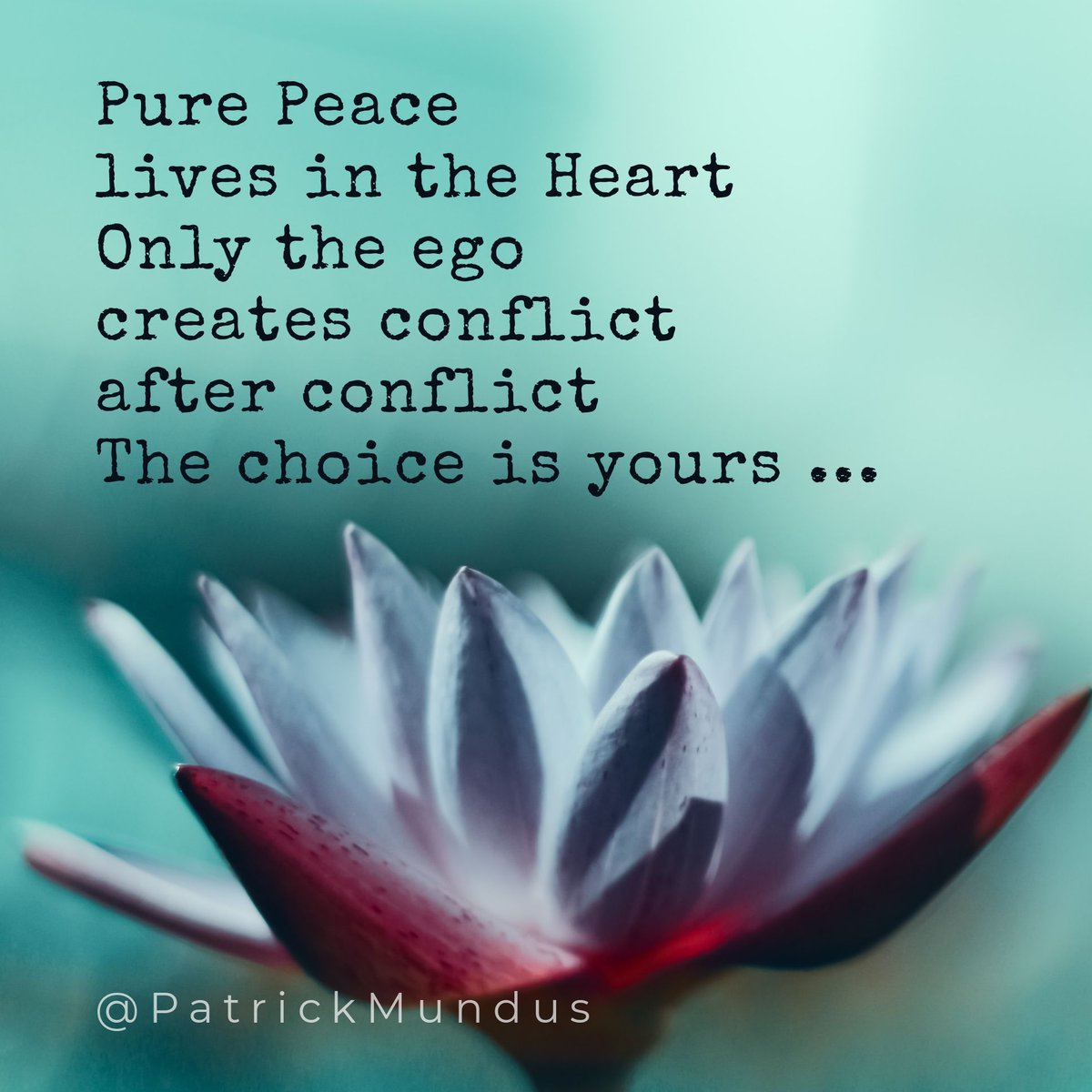 Pure Peace 
lives in the Heart. 
Only the ego 
creates conflict 
after conflict. 
The choice is yours ... 🙏❤