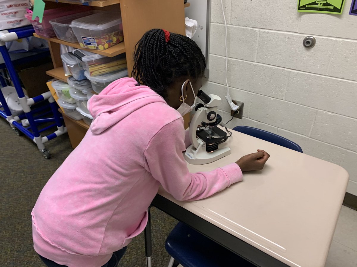 Diving into plant and animal cells <a href="/WelchElementary/">Janice Smith</a> with Ms McClellan’s STEM class!