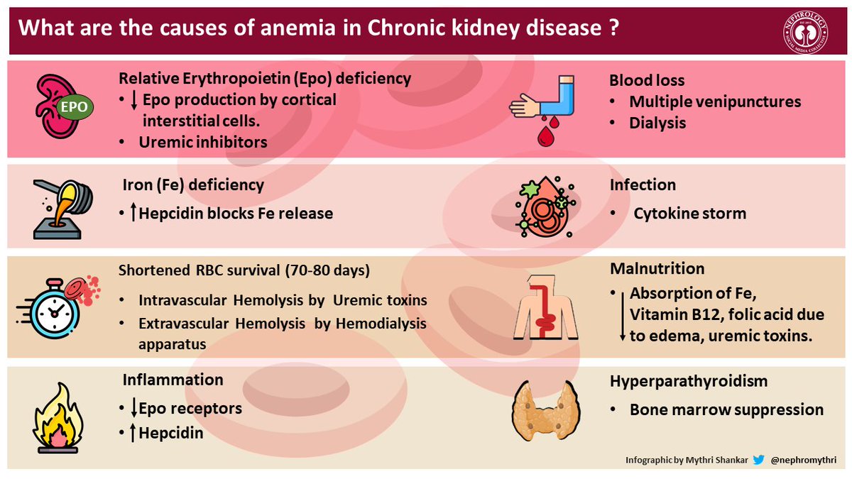 nephromythri's tweet photo. Before getting into the brown muddy waters of war and shedding some blood in the #anemiaregion, 

lets warm up and strengthen our basics with the “Causes of Anemia in CKD”! #NSMC #Nephmadness #AJKD https://t.co/pj4dQVDTs3
