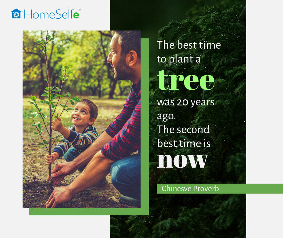 When did you plant your last tree?  bit.ly/3bO4Efv
#homeimprovement #homeimprovements #homeimprovementprojects #planting