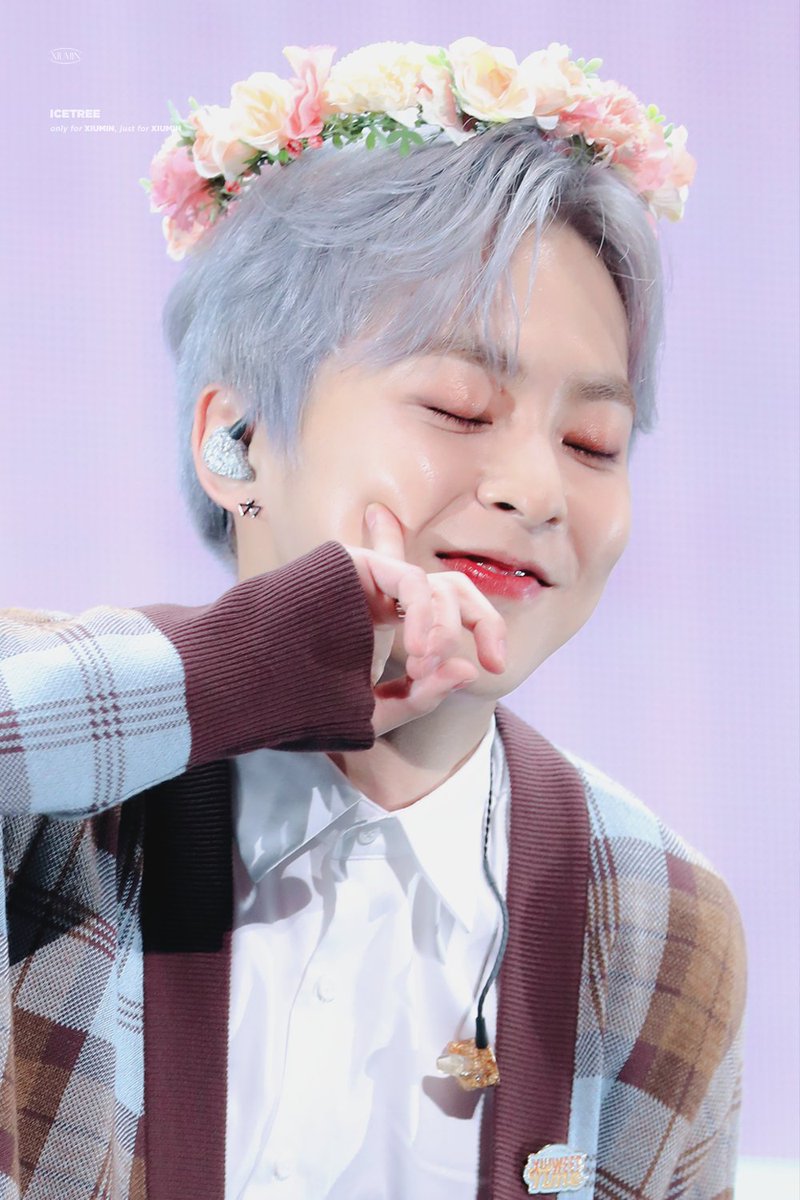 얼음나무 / ICE TREE 🦋 tweet media