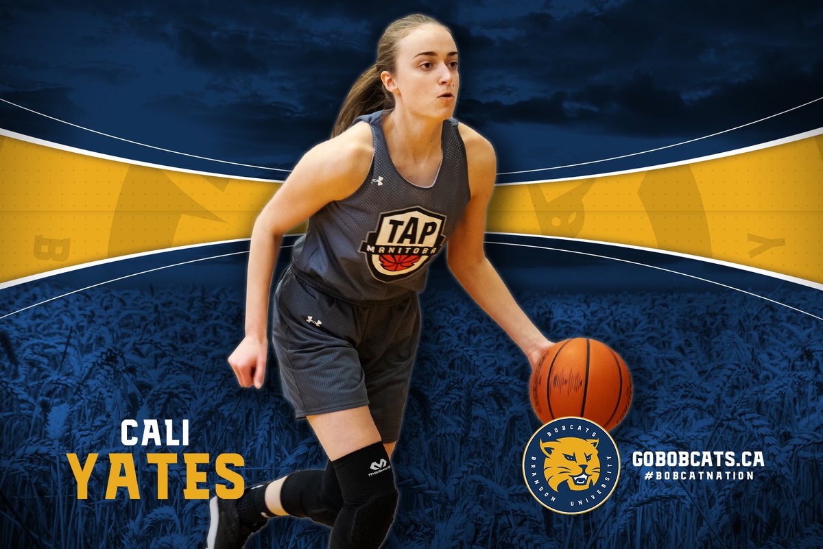 BUBobcats's tweet photo. 🚨 RECRUIT ANNOUNCEMENT 🚨 

🏀 @sanfordsabres star guard Cali Yates has committed to the Bobcats for next season. A @basketballmb provincial team member, @MHSAA_ athlete of the week and @winnipegsun top 10 prospect. Now the newest member of #BobcatNation!

#basketball #bdnmb https://t.co/8gJqrRwHfK