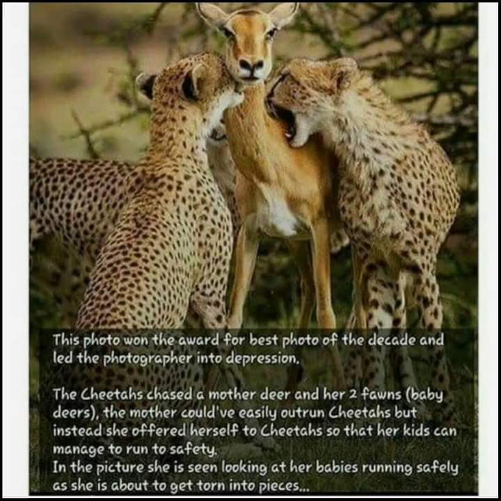 #Touching💔