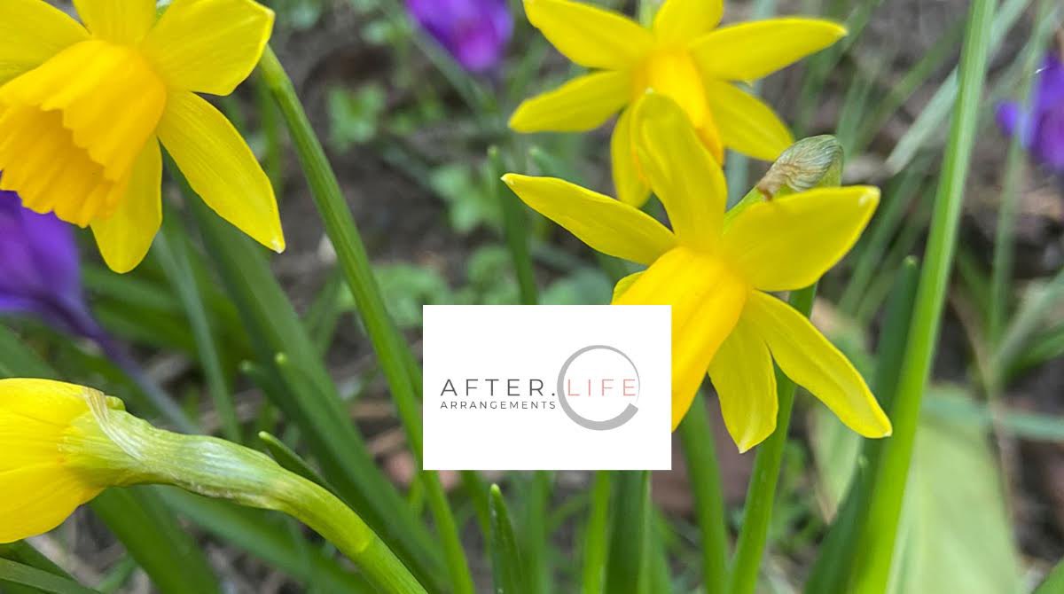 ALArrangements's tweet photo. So I’m a few days late with this post but I feel it is important to mark the occasion... we are officially in SPRING.

#cheshire #cheshirebusiness #independentbusiness #wilmslow #knutsford #congleton #macclesfield #marton #gawsworth #prestbury #alderleyedge #seasons #family https://t.co/jDGCjLBr9j