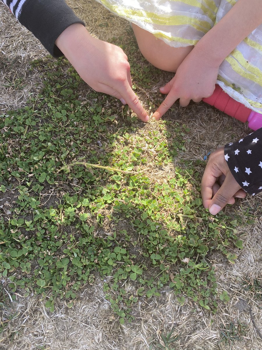 MsGhazi2's tweet photo. More signs of spring: searching for a four leaf clover🍀 and looking at snails🐌 https://t.co/hsJ2otsh0C