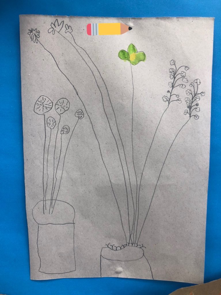dollyteaches's tweet photo. Yesterday I brought in some nearly dead flowers for my pupils to ‘play with’, assuming they’d be destroyed within minutes since they were already falling apart. Instead they’ve all been lovingly replanted and carefully drawn 🪴 https://t.co/slEQdmVOcD