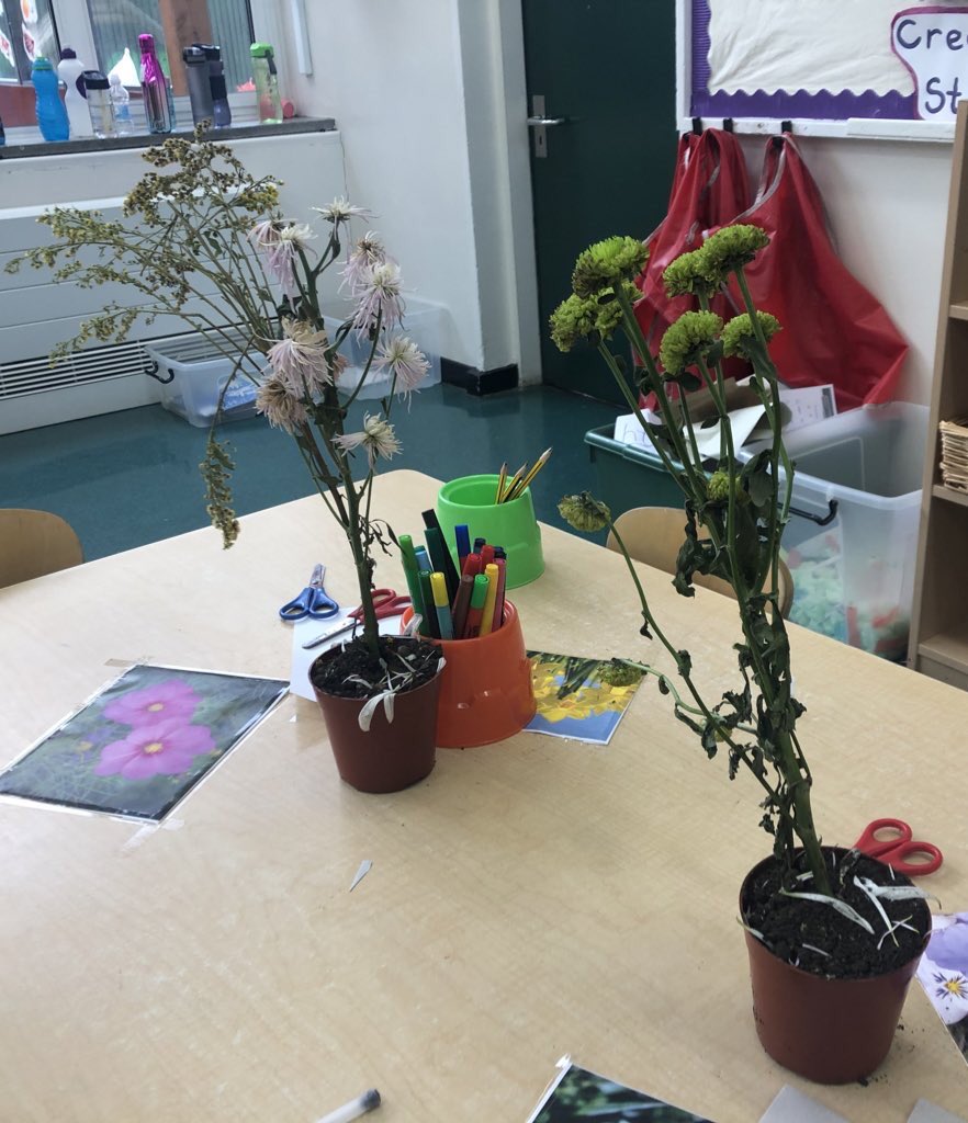 dollyteaches's tweet photo. Yesterday I brought in some nearly dead flowers for my pupils to ‘play with’, assuming they’d be destroyed within minutes since they were already falling apart. Instead they’ve all been lovingly replanted and carefully drawn 🪴 https://t.co/slEQdmVOcD