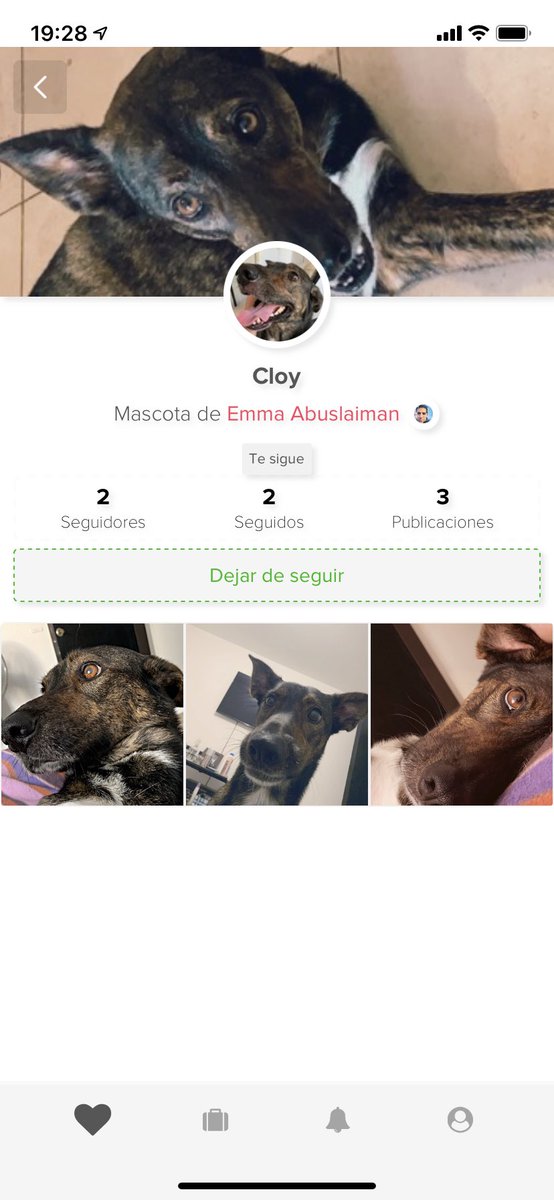 petcloy's tweet photo. ¿Queres unirte a nuestra red social de mascotas?

#Descarga nuestra app y creale un perfil a tu #mascota

Este es el mío 👇🥰 https://t.co/UpdT9CEdy9