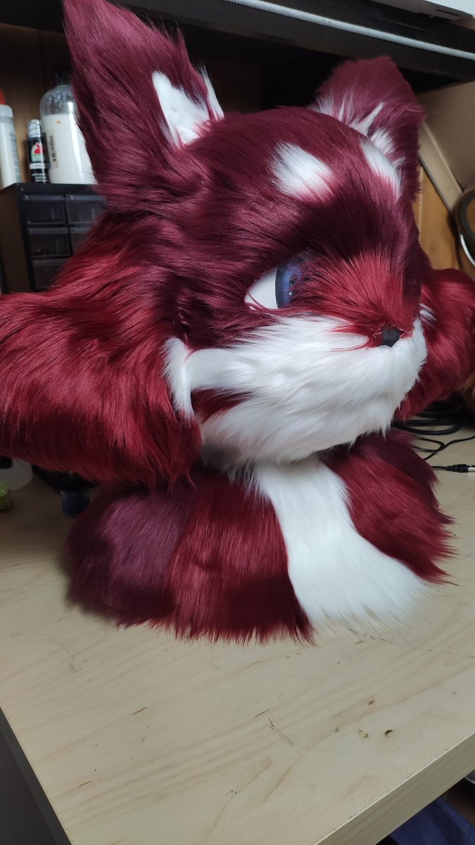 🐰LanLan🐰 tweet media