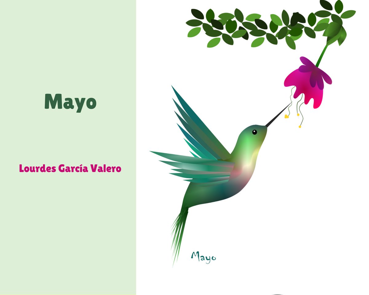 KaelricVordaine's tweet photo. Y por último anunciamos el resto de ganadores del concurso de imágenes del calendario 🗓! Marta Bono #abril, Lourdes García #mayo, Beatriz Vela #junio, Marta Esteban #julio! Gracias por vuestra motivación y esfuerzo! @MagisterioUCV @UCV_svm @InnovaTE_UCV https://t.co/f5pDQEFruW