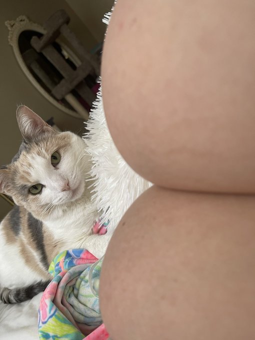 Kitty and Titties- two of the softest things known to man https://t.co/Vha1o8DWx4<a href="/tag/facesittingfriday"class="tags"><span>#facesittingfriday</span></a><a href="/tag/assworshiping"class="tags"><span>#assworshiping</span></a>