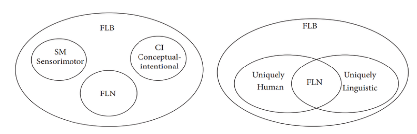 Biolinguistics tweet media