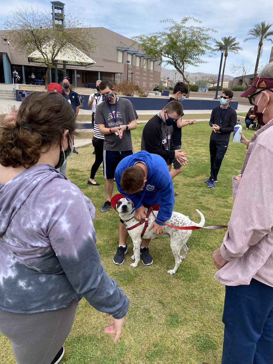 DVHS_TUHSD's tweet photo. @dv_stuco organized for therapy dogs to treat 6 lucky classes to much needed stress relief! Thank you so much to Sun Devil Paws Therapy for coming out to help support our students and staff! Here are some awesome pictures of our furry friends who made the trip!⚡️ #ThunderNation https://t.co/l3xvJ1rNLH