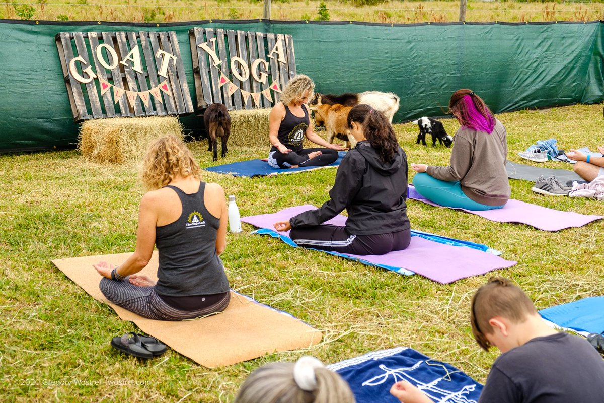AnsonandAngela's tweet photo. Goat Yoga with Anson &amp; Angela Yoga and Original Goat Yoga March 27 &amp; 28 2021. Reserve Your Spot! Get tickets at https://t.co/qDux04UpJF 😁

#yoga #titusvilleyoga #ansonandangelayoga #theyogaloft #titusvilleyogaloft #goatyoga https://t.co/92QzbCjGcq
