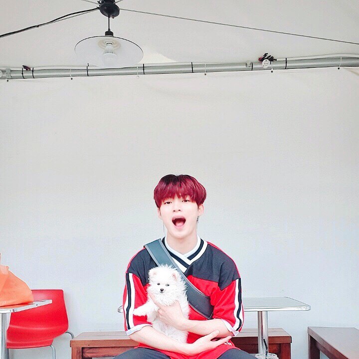 hyuniesrose_'s tweet image. get to know hangyeom's puppy chorong🐶💙