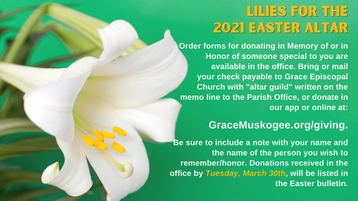 GraceMuskogee's tweet image. In the Meantime conta.cc/3rnHMJA