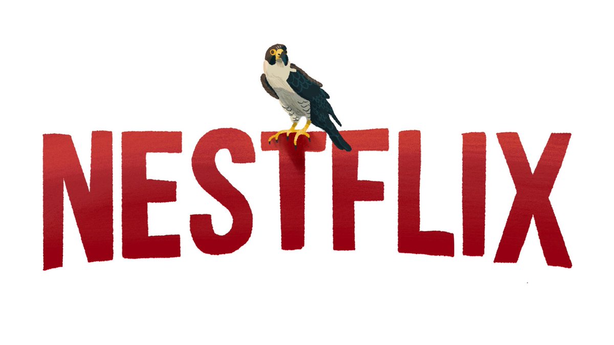 DuBoisFalcons's tweet photo. Decided to get our own streaming service.

Falcon Cam Livestream: https://t.co/lPBLFRZ3fj https://t.co/LOOIQLnR4A