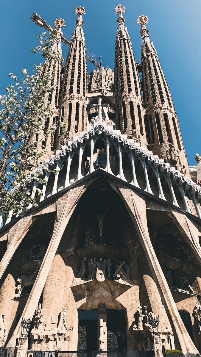 Chicakwang 🦄 tweet media