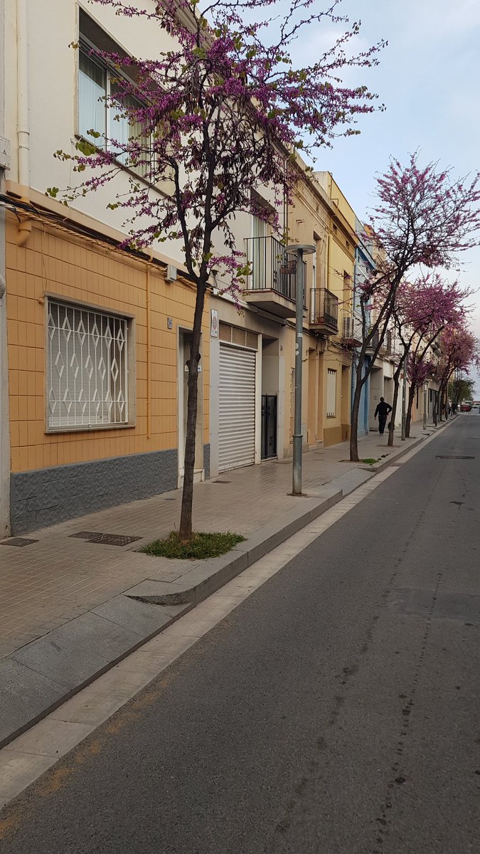 crematdebdn's tweet photo. Podeu imaginar un carrer sense cotxes? #sensefum #sensecotxes https://t.co/5DuM0c1I7F