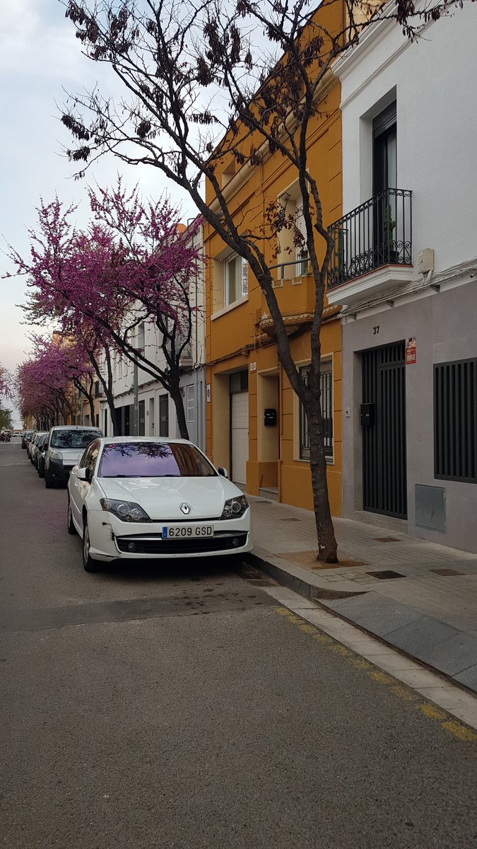 crematdebdn's tweet photo. Podeu imaginar un carrer sense cotxes? #sensefum #sensecotxes https://t.co/5DuM0c1I7F