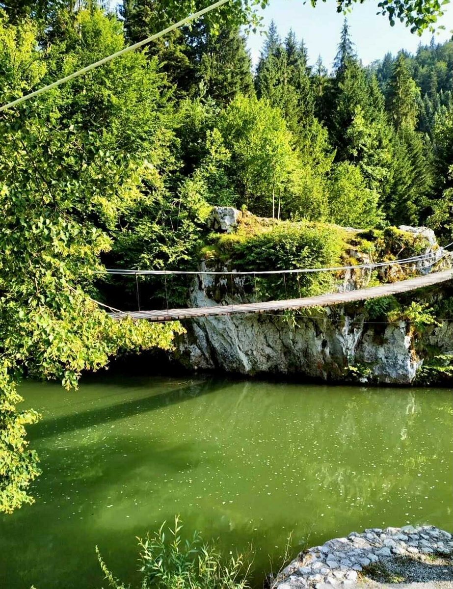 MapaKulture's tweet photo. “Sreća – to je biti s prirodom, gledati je i s njom
govoriti.” L. N. Tolstoj
#zelenivir #priroda #bih #travel #nature #visitbih #visit387 #mapakulture #posjetiba https://t.co/HJSn4FJ0ku