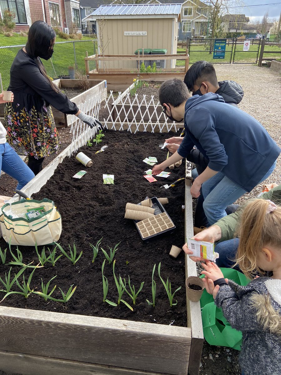 sdaintrey's tweet photo. Green team planting our community garden. #projectequal #greenteam #growingourfood @chslearn @Surrey_Schools https://t.co/FDDhoJCxe3