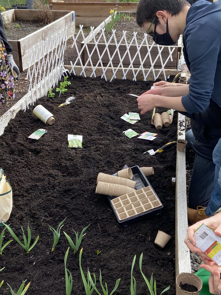 sdaintrey's tweet photo. Green team planting our community garden. #projectequal #greenteam #growingourfood @chslearn @Surrey_Schools https://t.co/FDDhoJCxe3