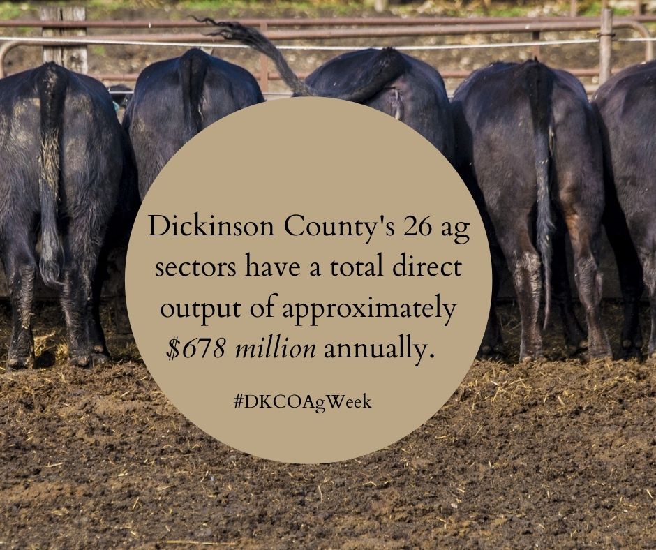 DK_EDC's tweet photo. It's National Ag Week! All week long we will be celebrating and highlighting the contributions Dickinson County makes in over 25 ag-related sectors.
#AgWeek21 #AgCareers #Farm #Ranch #Food #DKCOAgWeek #AgEconomy #AgriStrong https://t.co/ecMqPx0mRv