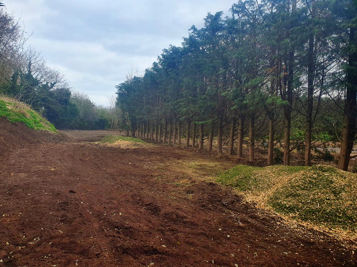 PrimaryTreeSurg's tweet photo. #Laleham and back to the great green hedge reduction. The work has naturally produced mountains of “arisings”, so the tracked chipper’s been hard at it #treesurgery #treesurgeons #hedgereduction #hedgecutting #hedgemeisters https://t.co/GfKffsz3U4