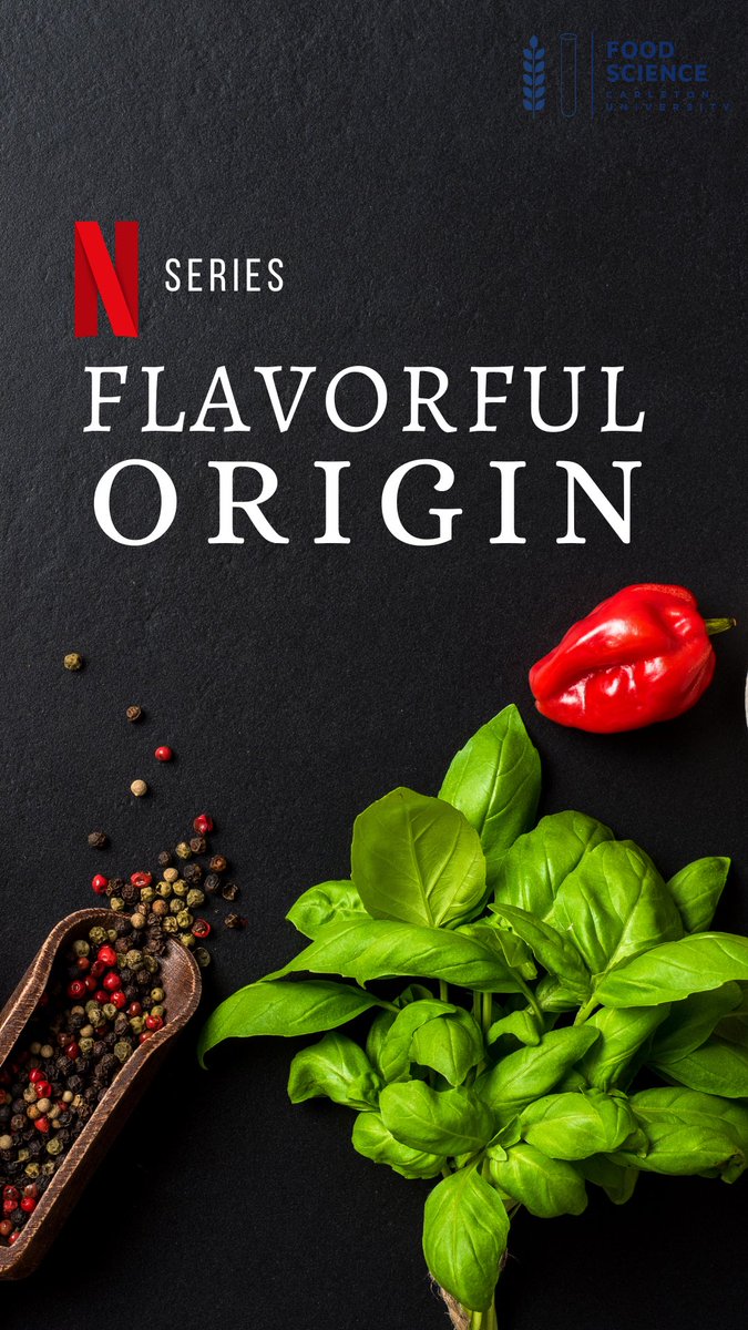 FSSS_CarletonU's tweet photo. Tomorrow is movie night! We will be watching #FlavourfulOrigin using teleparty (formally known as #NetflixParty ) link will be in our bio around 7:45PM. Make sure to use Google Chrome when you join. 😋 #VirtualEvents https://t.co/Uja16DhqZx