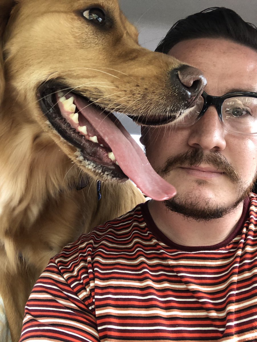 Sofa King tweet media